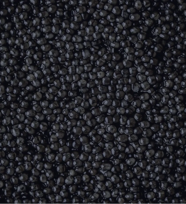 Sturia Baerii Classic Caviar
