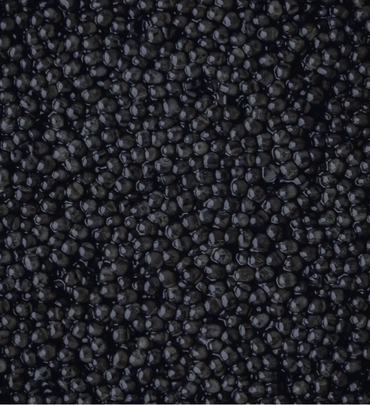 Sturia Baerii Classic Caviar