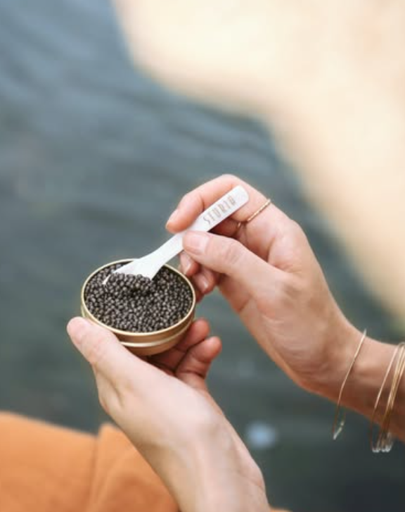 Sturia Baerii Classic Caviar